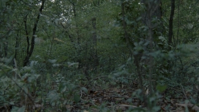 Click to view full size image
==============
twd2x11_0531.jpg twd2x11_0531.jpg