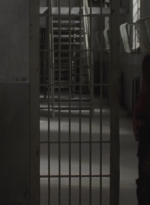 WD307HD_0285.jpg