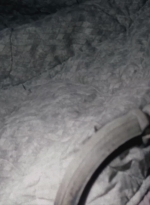 WD307HD_1342.jpg