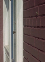 WD312HD_0371.jpg