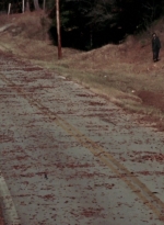 WD314HD_0789.jpg