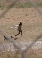 twd315-000414.jpg