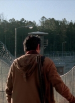 twd315-001976.jpg