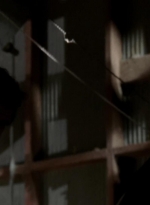 twd315-002529.jpg