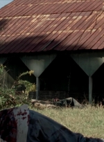 twd315-002942.jpg