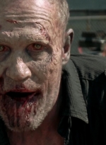 twd315-002950.jpg
