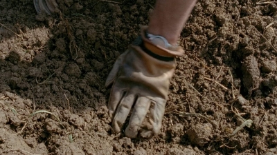 Click to view full size image
==============
thewalkingdead0401-0064.jpg thewalkingdead0401-0064.jpg