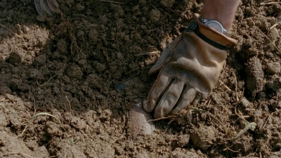 Click to view full size image
==============
thewalkingdead0401-0065.jpg thewalkingdead0401-0065.jpg