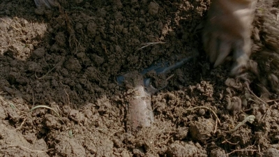 Click to view full size image
==============
thewalkingdead0401-0067.jpg thewalkingdead0401-0067.jpg