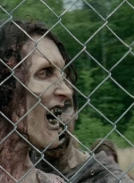 thewalkingdead0401-0254.jpg
