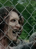 thewalkingdead0401-0255.jpg