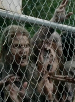 thewalkingdead0401-0259.jpg