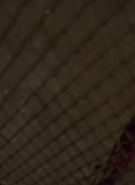 thewalkingdead0402-2872.jpg