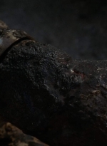 thewalkingdead0402-2936.jpg