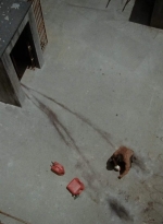 twd403-2112.jpg