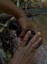 thewalkingdead0404-0229.jpg