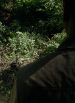 thewalkingdead0404-0253.jpg