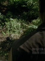 thewalkingdead0404-0256.jpg