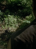 thewalkingdead0404-0257.jpg