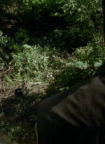 thewalkingdead0404-0260.jpg