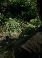 thewalkingdead0404-0263.jpg