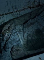 thewalkingdead0406-0779.jpg