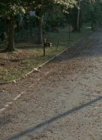 twd0409-1415.jpg