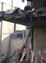 Filename=the-walking-dead-s04e10-inmates-041.jpg
Filesize=1608KiB
Dimensions=2048x1356
Date added=May 08, 2019 the-walking-dead-s04e10-inmates-041.jpg