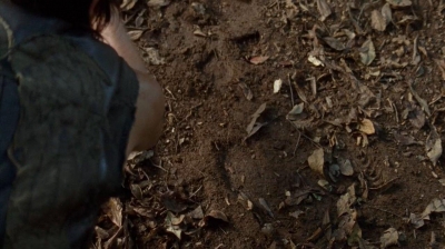 Click to view full size image
==============
twd0410-0207.jpg twd0410-0207.jpg