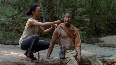 twd0410-1086.jpg