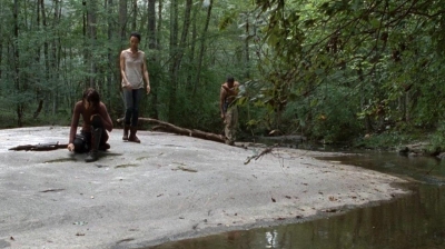 twd0410-1116.jpg