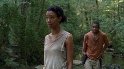Click to view full size image
==============
twd0410-1139.jpg twd0410-1139.jpg