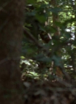 twd0410-0014.jpg