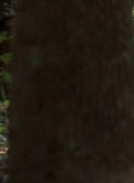 twd0410-0015.jpg
