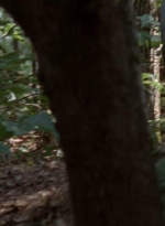 twd0410-0016.jpg