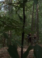 twd0410-0026.jpg