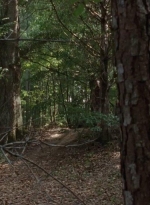 twd0410-0031.jpg