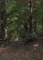 twd0410-0034.jpg