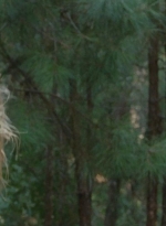 twd0410-0037.jpg
