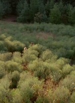twd0410-0063.jpg
