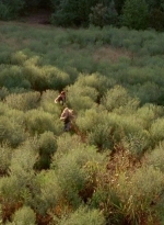 twd0410-0065.jpg