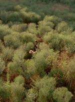 twd0410-0067.jpg
