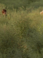 twd0410-0076.jpg