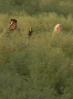 twd0410-0077.jpg