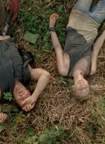 twd0410-0100.jpg