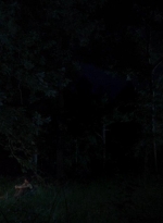 twd0410-0108.jpg
