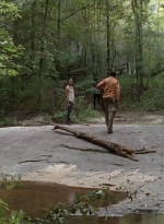 twd0410-1160.jpg