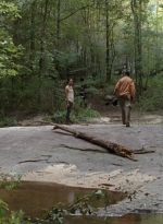 twd0410-1161.jpg