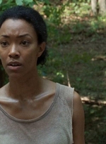 twd0410-1164.jpg