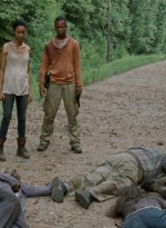 twd0410-1342.jpg